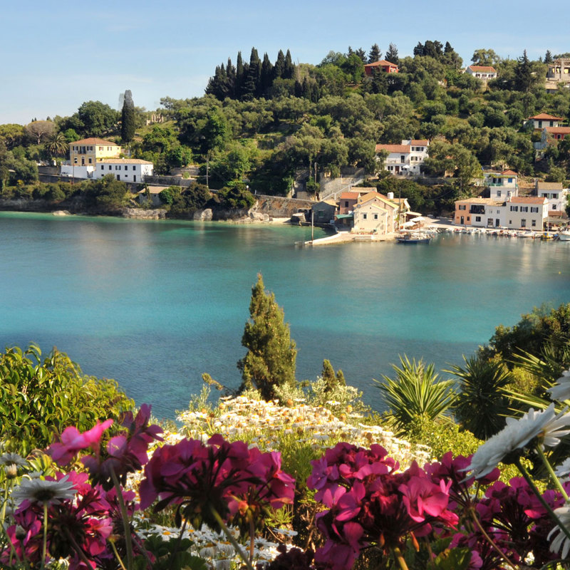 Paxos