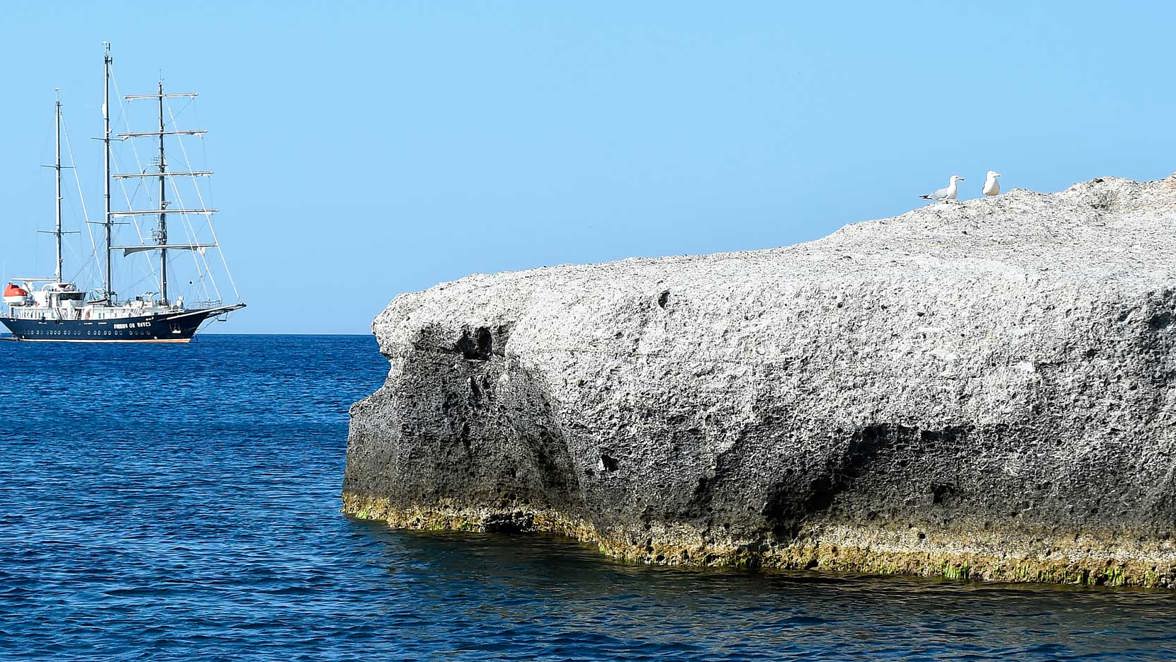 ship near low coast rocks with seagulls on top