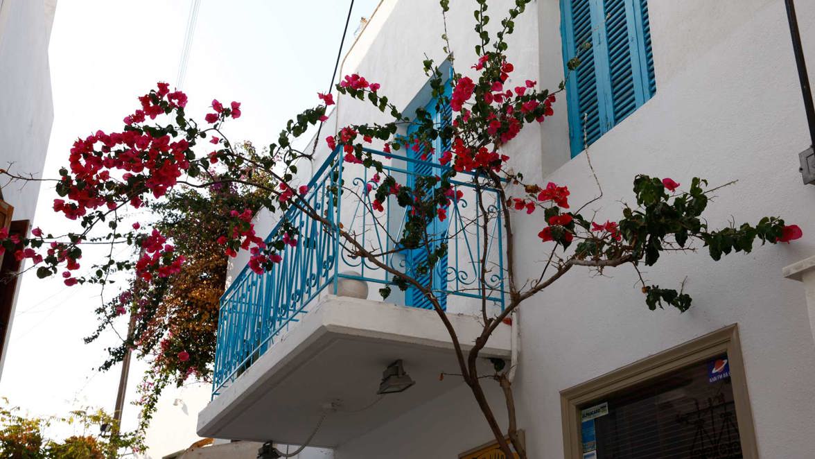 island town white balcony with red flowers