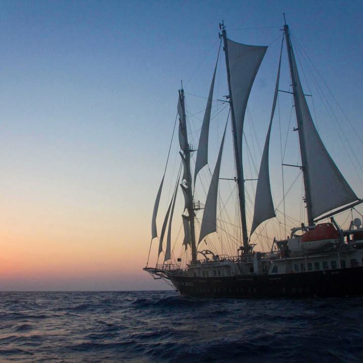 ship on waves at sea at sunset