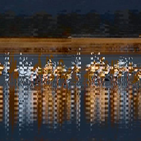 Pylos