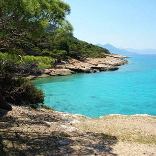 Aegina
