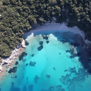 Sivota
